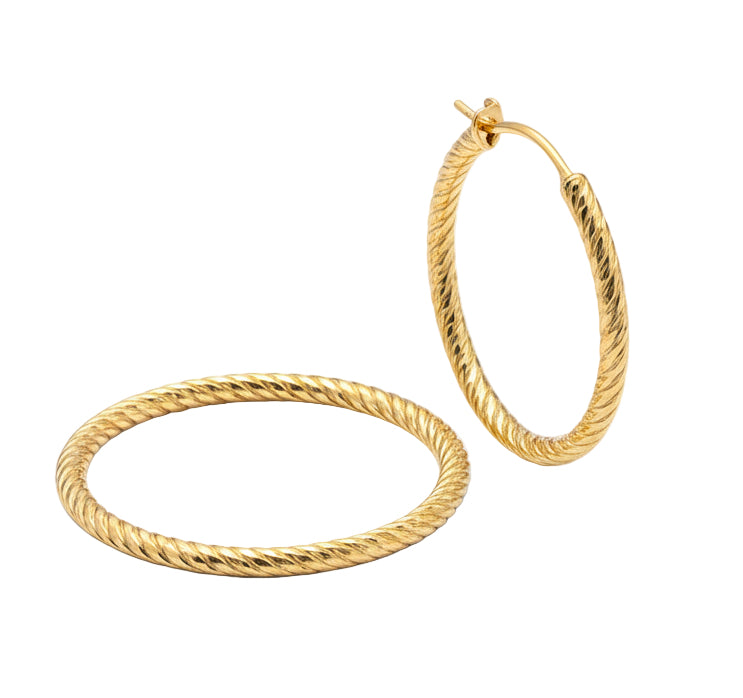 Fraboso Orecchini OR0661PL