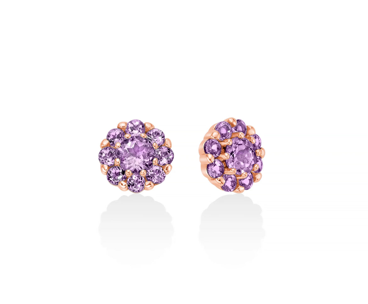 Miluna Orecchini Ametista in Argento ERD2925