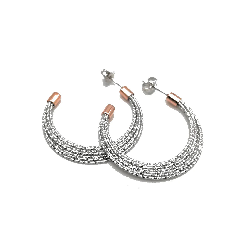 Fraboso Orecchini in Argento 925 OR07931BC